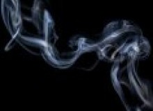 Kwikfynd Drain Smoke Testing
sutherlandnsw